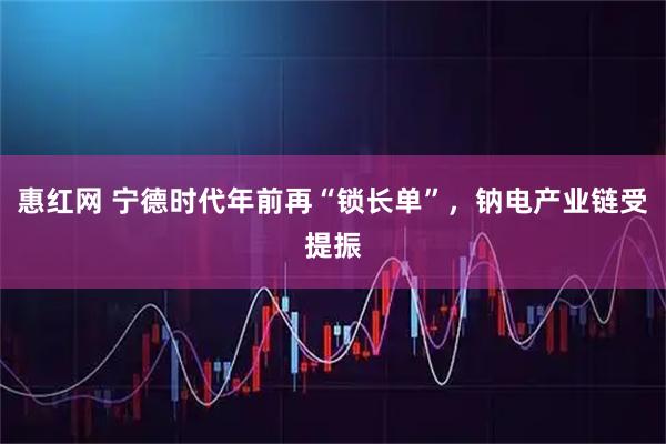 惠红网 宁德时代年前再“锁长单”，钠电产业链受提振