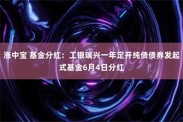 涨中宝 基金分红：工银瑞兴一年定开纯债债券发起式基金6月4日分红