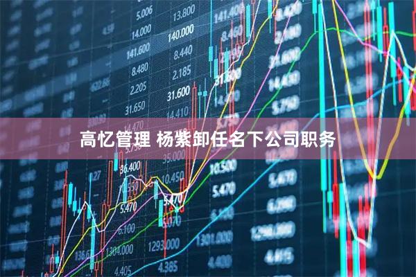 高忆管理 杨紫卸任名下公司职务