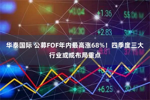 华泰国际 公募FOF年内最高涨68%！四季度三大行业或成布局重点